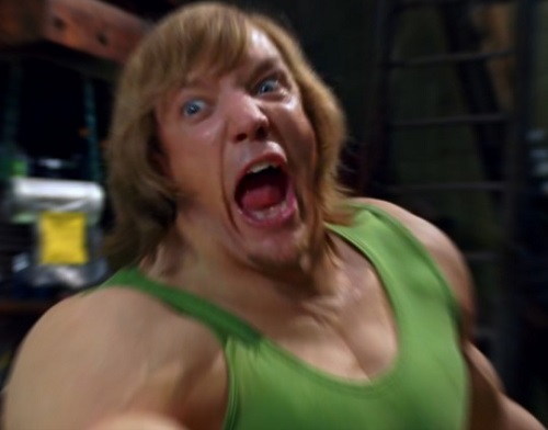 image of your friend, Shaggi